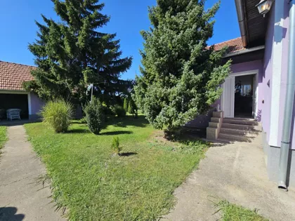 Bački Vinogradi | 4zida.rs