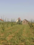 Poljoprivredno zemljište | 4zida