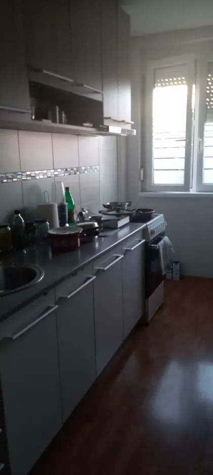 Kolonija | 4zida.rs