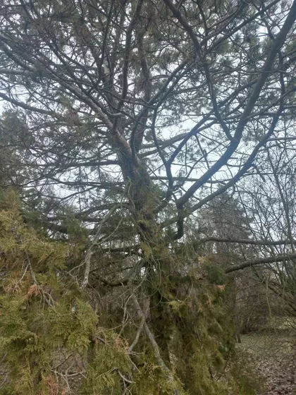 Moše Pijade | 4zida.rs