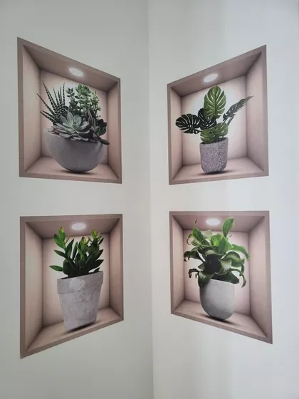 Braće Miladinov 6 | 4zida.rs