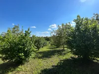 Poljoprivredno zemljište | 4zida