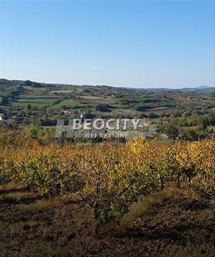Vidovdanska | 4zida.rs