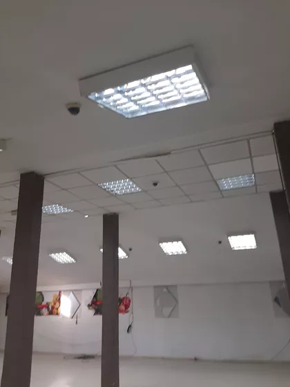 Cara Dušana | 4zida.rs