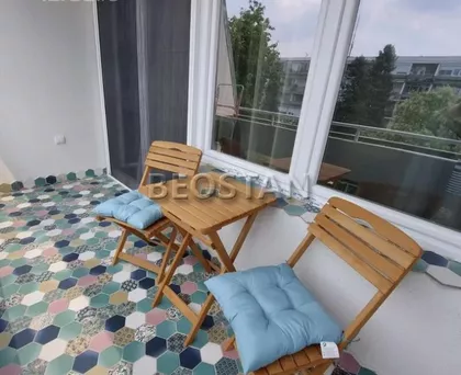 Dr Ivana Ribara | 4zida.rs