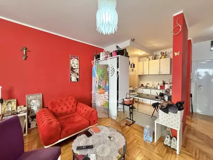 Pilota Mihaila Petrovića | 4zida.rs