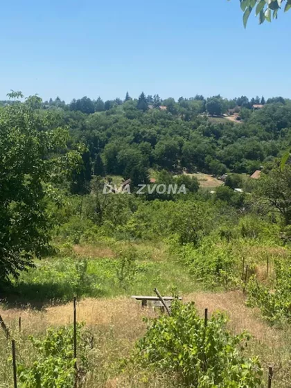 Čortanovci | 4zida.rs