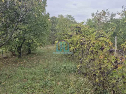 Alibegovac | 4zida.rs