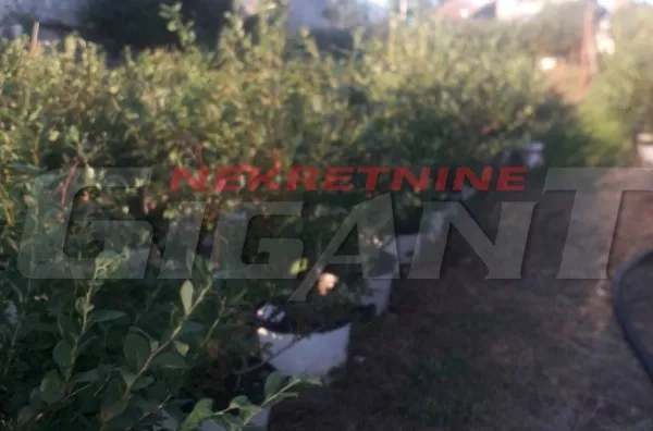 Plac | 4zida