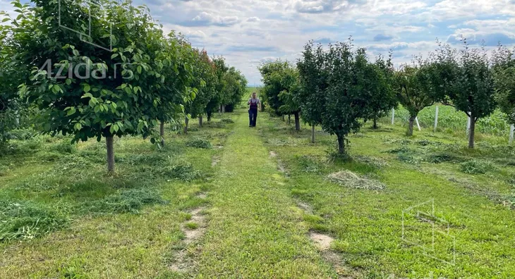 Poljoprivredno zemljište | 4zida