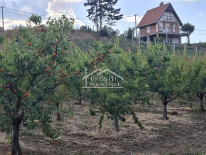 Zaklopača | 4zida.rs