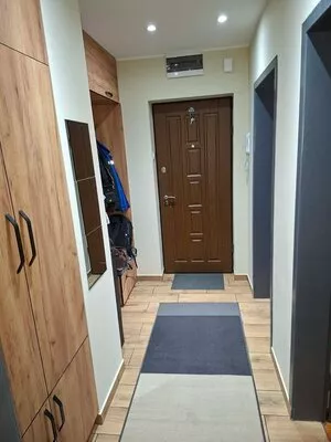 Zrenjanin, Lesnina | 4zida.rs