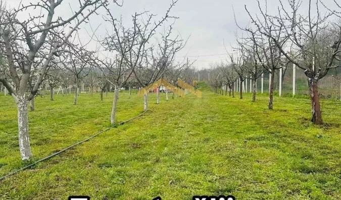 Plac | 4zida
