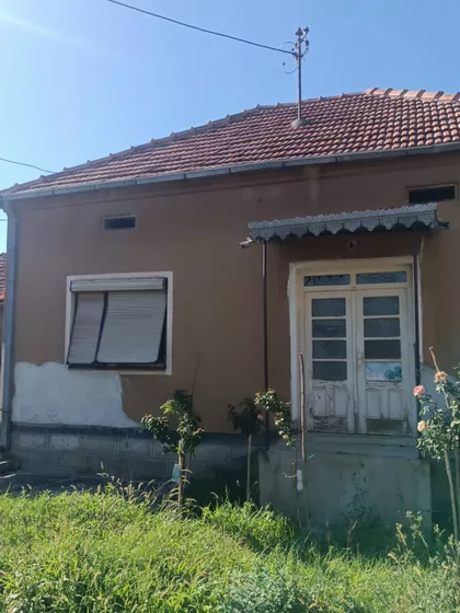 Velika Drenova | 4zida.rs