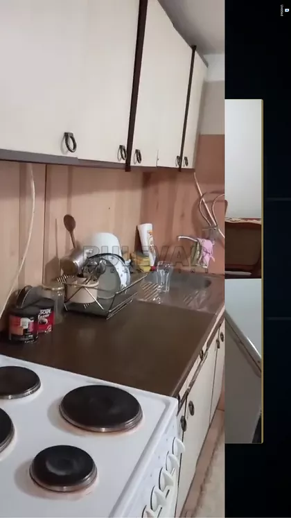 Pasi poljana | 4zida.rs