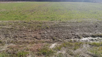 Nemanjina | 4zida.rs