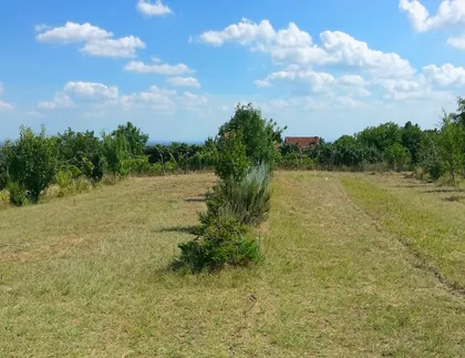 Svetosavska | 4zida.rs