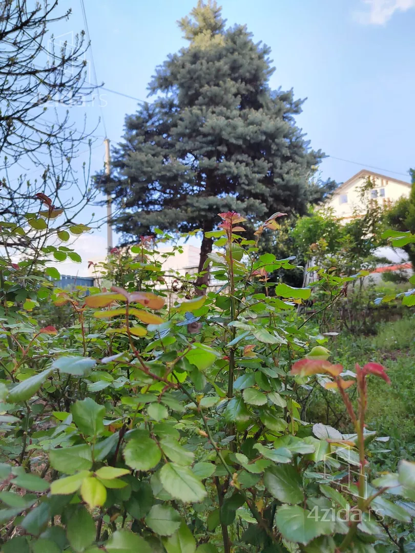 4-etažna kuća | 4zida