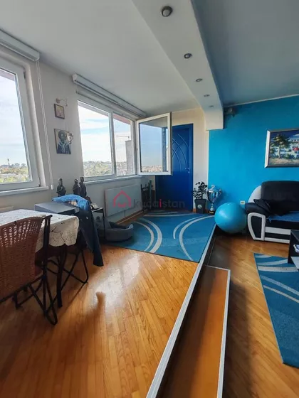 Darvinova pošta | 4zida.rs