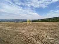 Plac | 4zida