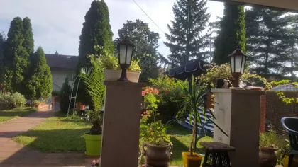 Milorada Draškovića | 4zida.rs