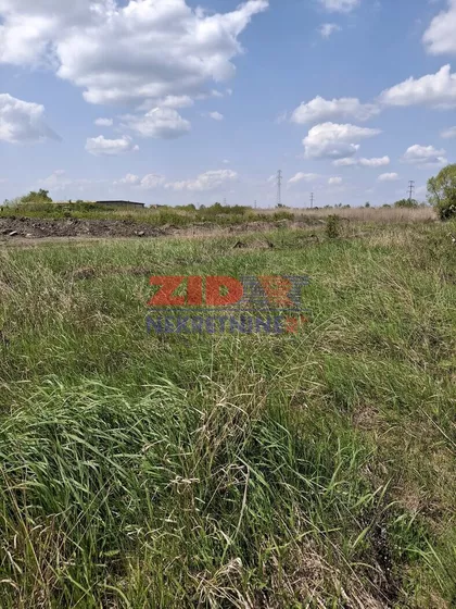 Save Kovačevića | 4zida.rs