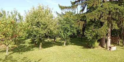 Vrdnik | 4zida.rs