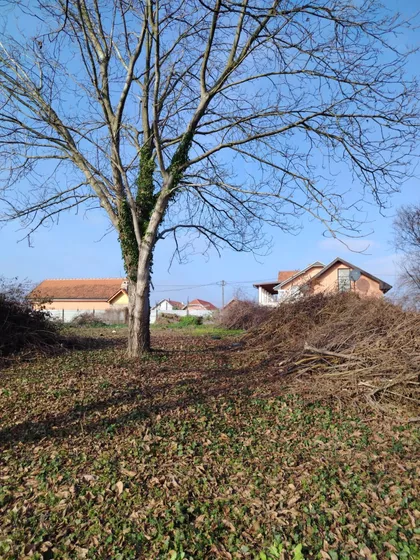 Milutina Milankovića | 4zida.rs