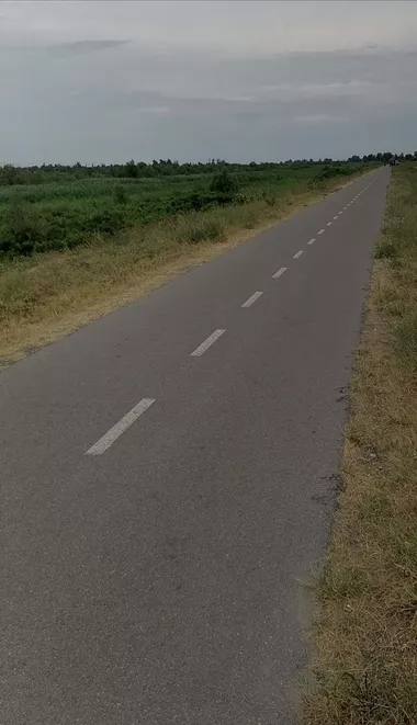 Đure Đakovića