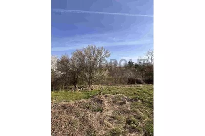 Dole Mihajlović | 4zida.rs