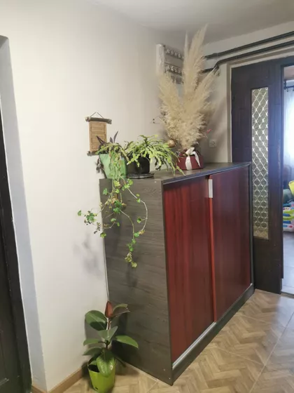 Bavaništanski Put | 4zida.rs