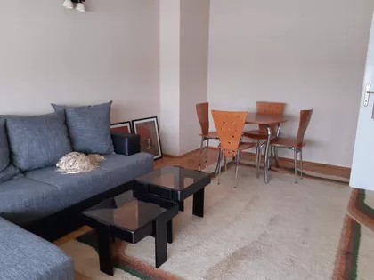 Bulevar cara Lazara | 4zida.rs