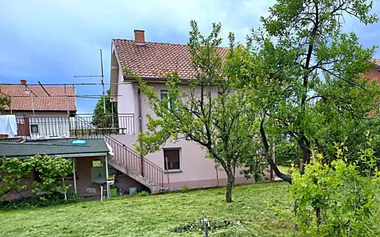 Save Radosavljevića