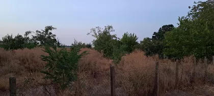 Tankosićevo | 4zida.rs
