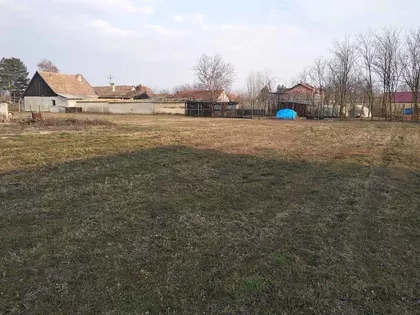 Srpski Šor | 4zida.rs