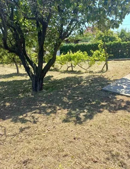 Baćevac | 4zida.rs
