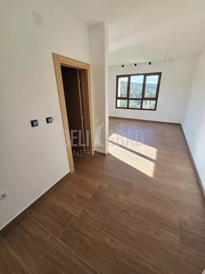 Belog narcisa | 4zida.rs