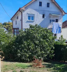 Boleč | 4zida.rs