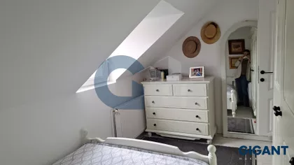 Mile Dimić | 4zida.rs