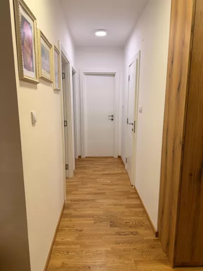 Detelinara | 4zida.rs