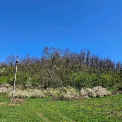 Gradske lokacije | 4zida.rs