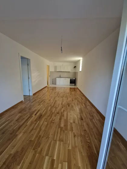 Vojvode Petra Bojovića 7 | 4zida.rs
