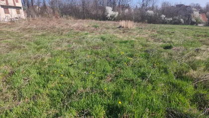 Obršinska | 4zida.rs