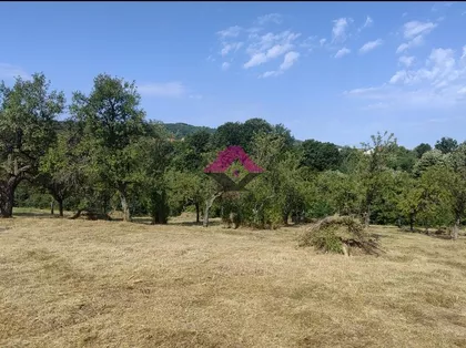 Progoreoci | 4zida.rs
