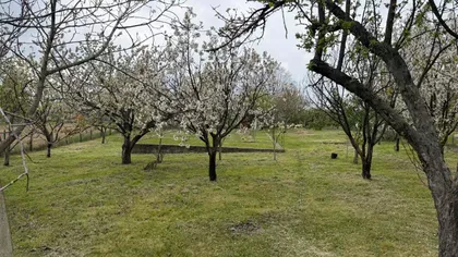 Drača 4 | 4zida.rs