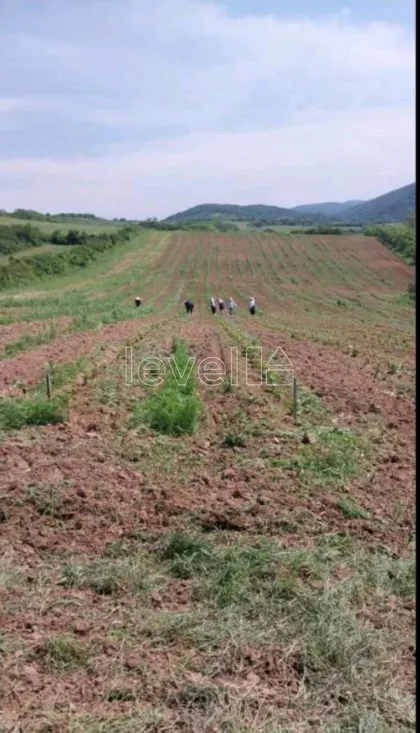 Banoštor | 4zida.rs