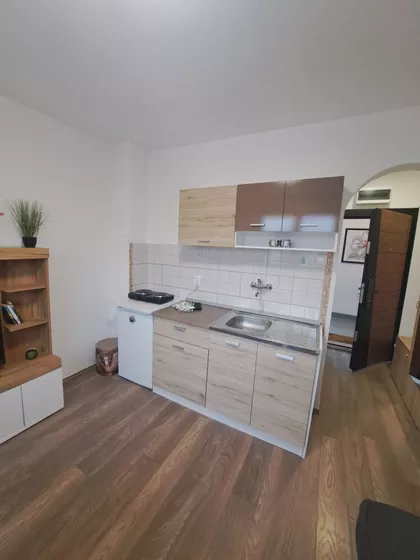 Stjepana Mitrova Ljubiše | 4zida.rs