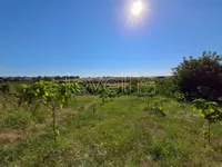 Šuljam, Okolne lokacije, Sremska Mitrovica | 4zida.rs