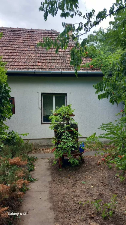 Kelebija | 4zida.rs