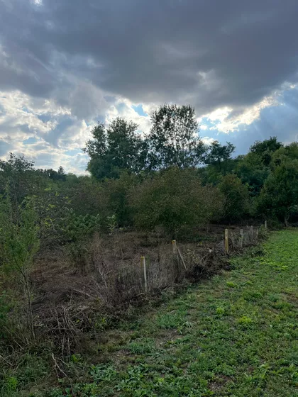 Krušedol Prnjavor | 4zida.rs